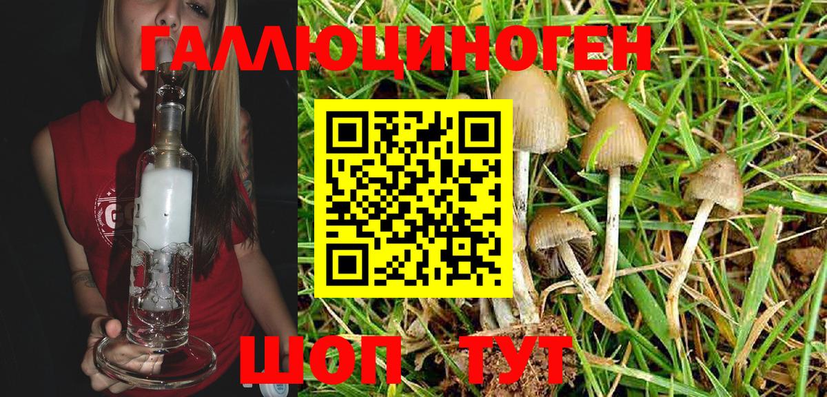 Галлюциногенные грибы Magic Shrooms Глазов