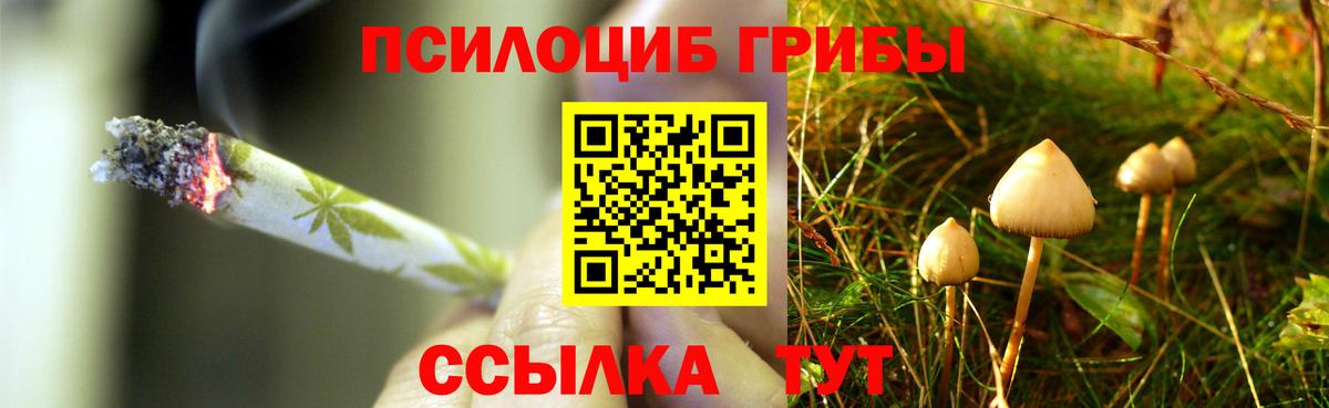 купить закладку  Псилоцибиновые грибы Psilocybine cubensis  Вход с VPN  Глазов 